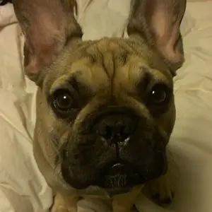 IMAG0285