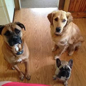 The Kids