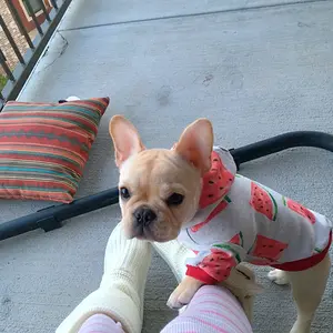 watermelon hoodie!!