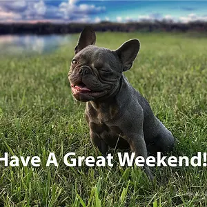 FB HaveAGreatWeekend