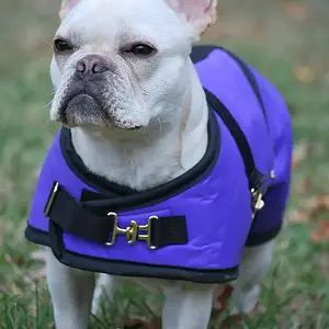 purplecoat.jpg