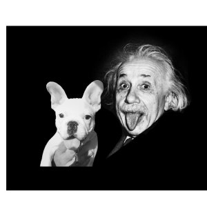 Kilo-Einstein1.jpg