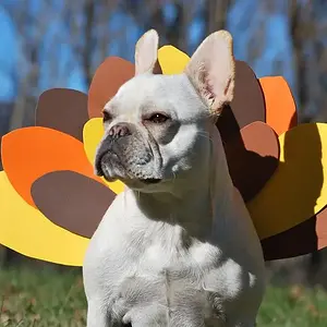 gobblegobble.jpg