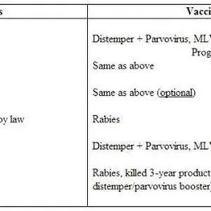 vaccinations.jpg