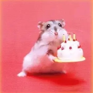 HappyBirthdayHamster.jpg