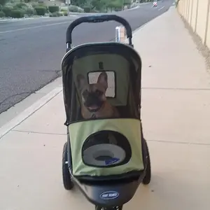 Stroller Out.jpg