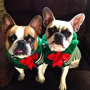 Holiday Frenchies.jpg