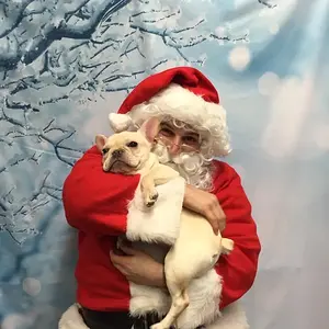 SantaPaws2.jpg