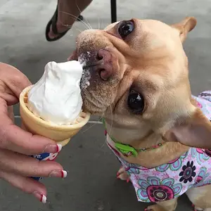 Ice cream.jpg