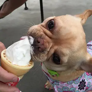 ice cream 1.jpg