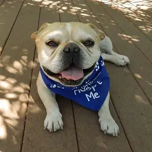 Adopt Me bandana 025.JPG