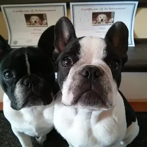 Penelope and Fergus graduate.jpg