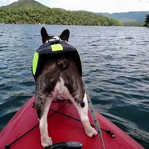 kayak2.jpg