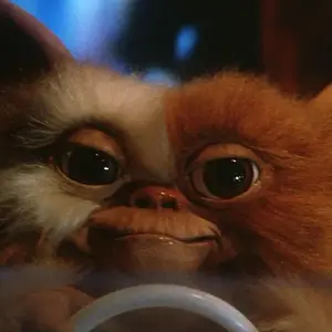 Gizmo.jpg