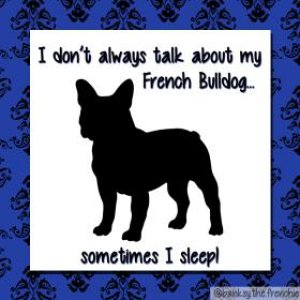 french_bulldog_icon.jpg