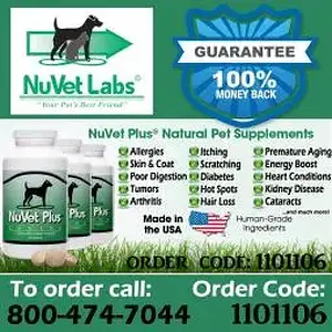 Nuvet-dog-vitamins copy.jpg