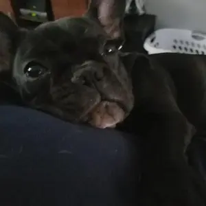 ACnSam3U9jGFzkhdWwy4JmK3k_cNe5eNhJ6Z8Gn0j3FRb9AlJypzFGDZk6jznXErYEbw-bpbjJuNk13ukP0Enrg~.jpg