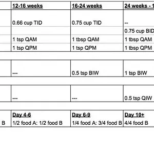 Frenchie Food Schedule.jpg