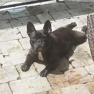 Sofi tanning!.jpg