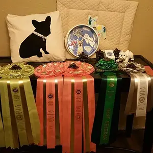 Hazel ribbons National 2017.jpg