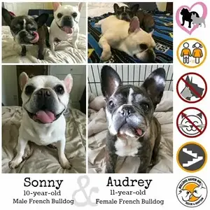 sonny&audrey.jpg