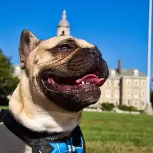 Stanley In Front of Old Main (1).jpg