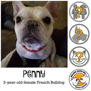 penny.jpg