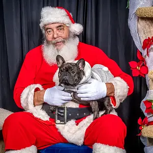 Truffle Santa Lap.jpg