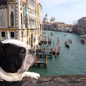 venice.jpg