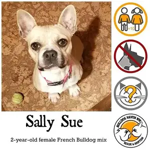 sallysue.jpg