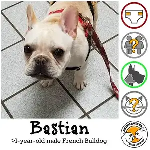 bastian.jpg