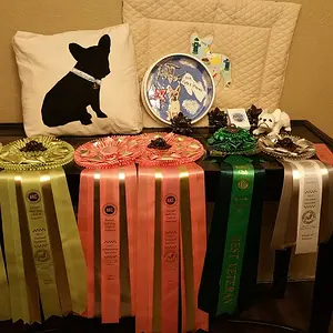 Hazel ribbons National 2017.jpg