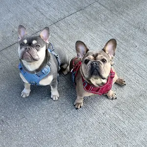 Rae And Honcho