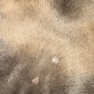 IMG_7679.jpeg