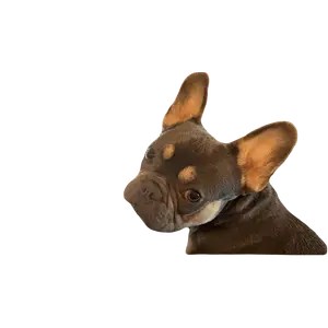 MagicEraser_240911_000413.png