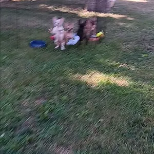 20250901_104352.mp4