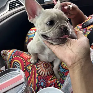 New Baby girl