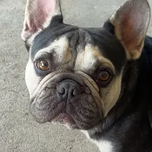 F19BCE72-506C-4C0C-95A4-E455BBA8C5AC.mov