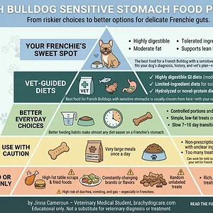 French_Bulldog_Sensitive_Stomach…_202605310907.webp