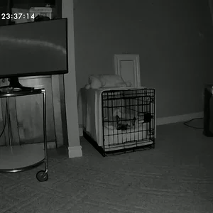 FurboLiveRecord.mov