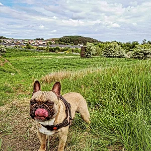 IMG_20260530_112842_912.webp