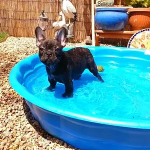 enjoying the water