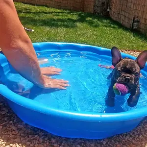 Daddy doesn't fit in the pool