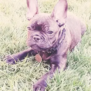 July 2014 (12 weeks old)