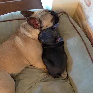 Snuggles:)
