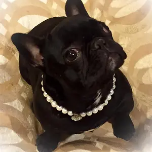 pearls