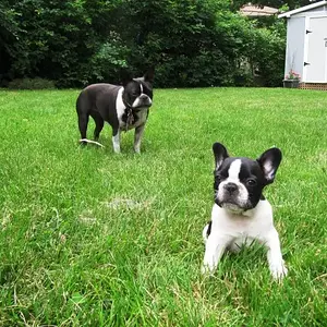 She's behind me, isn't she?