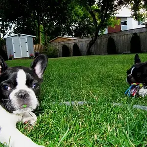 Got something on your face, Wally.