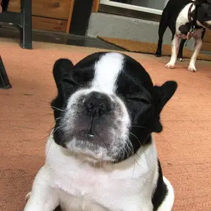 Falling asleep sitting up.