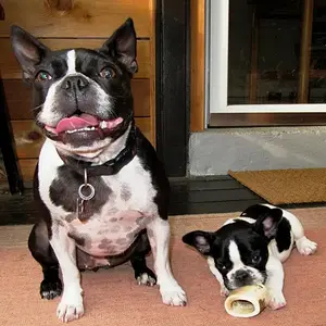 Size difference.